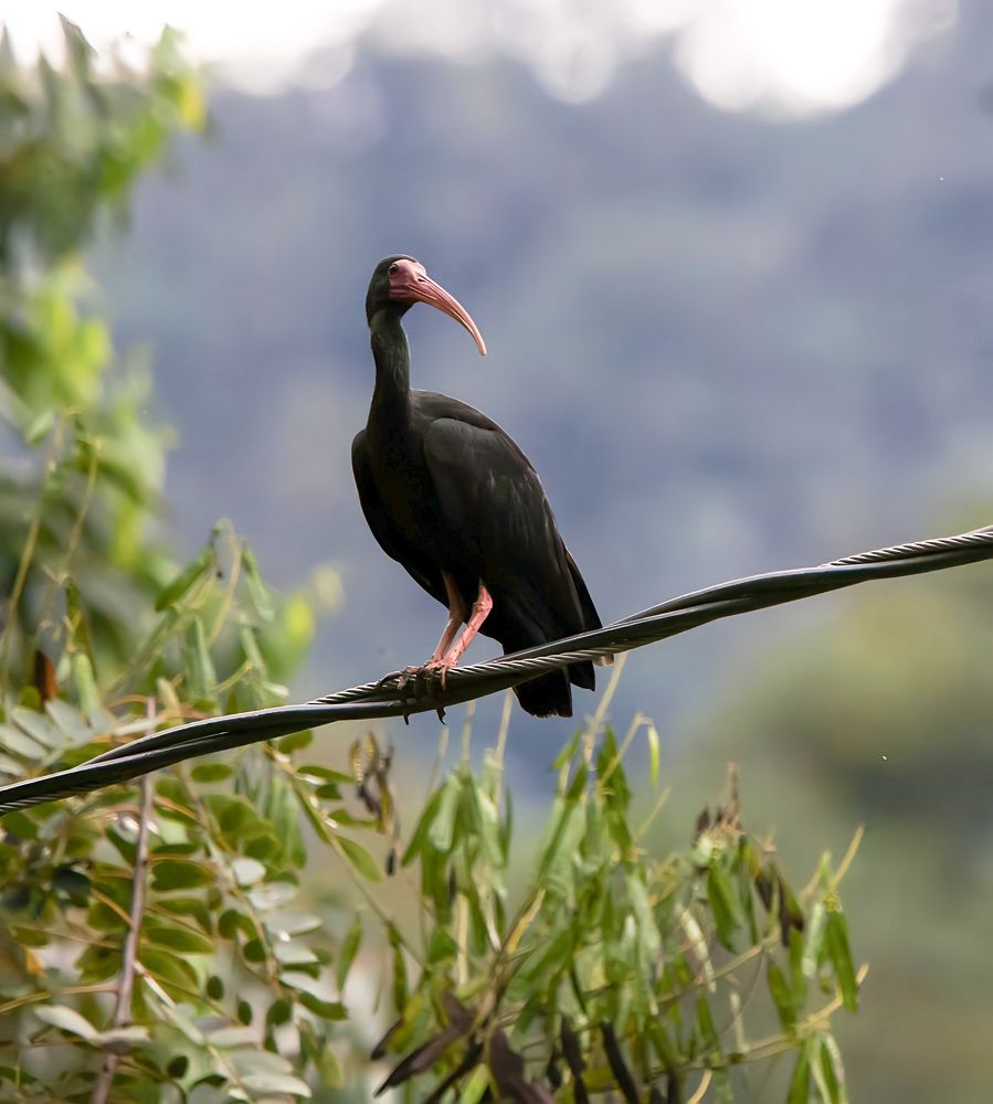 Photograph by Jair Lozano