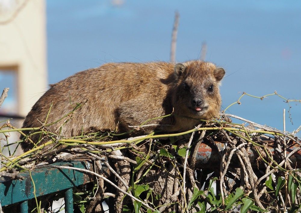 Photograph by Валентина Лопаткина