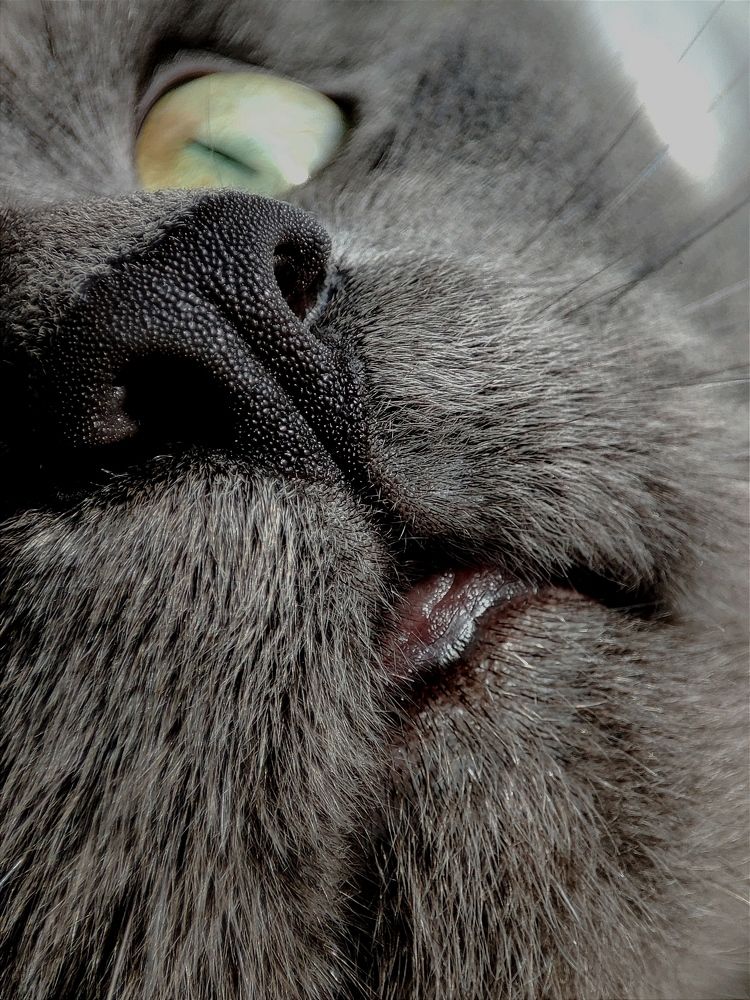 Photograph by Анастасия Кудина