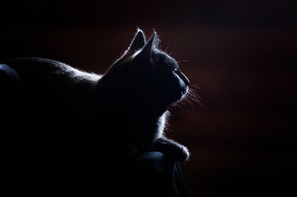 Photograph by Ольга Мартынова