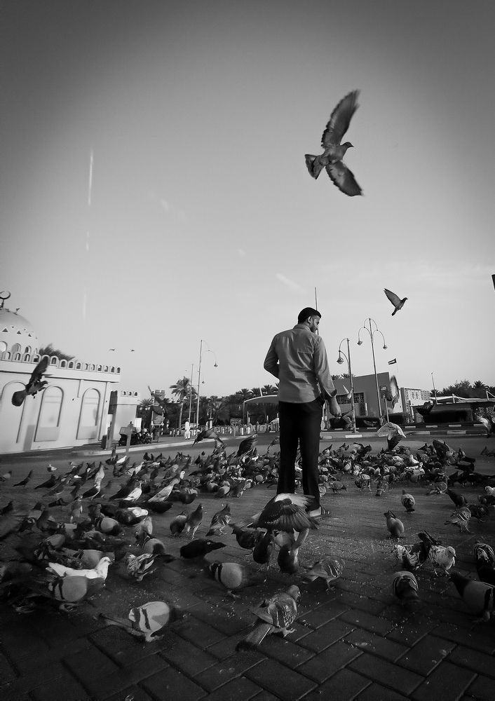 Photograph by Mosbah Hammad