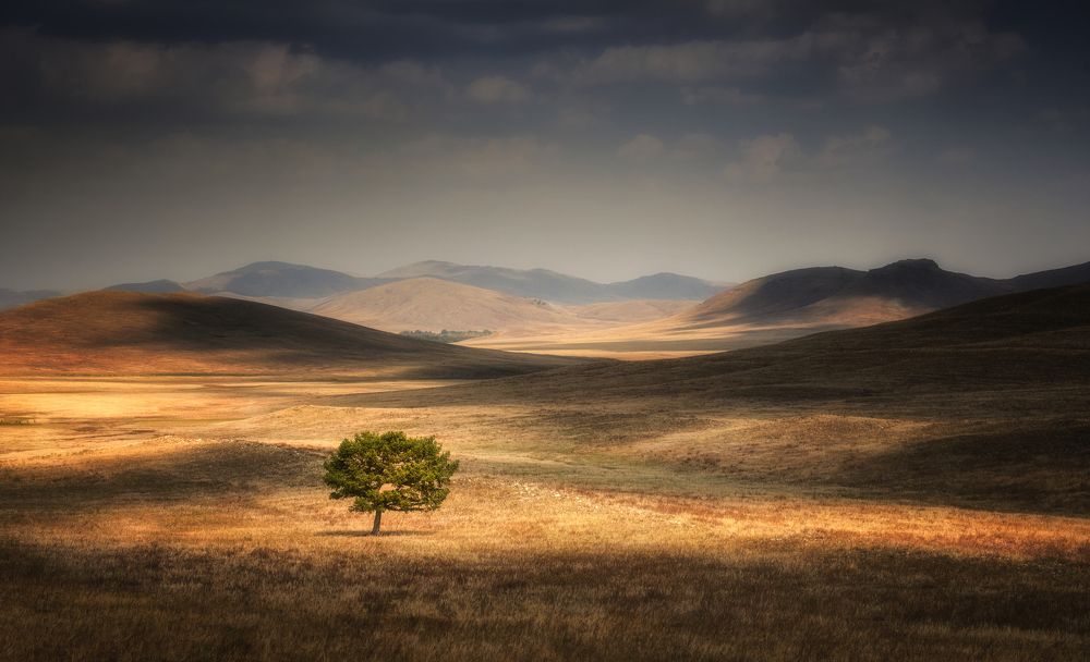 Photograph by Татьяна Бирюкова