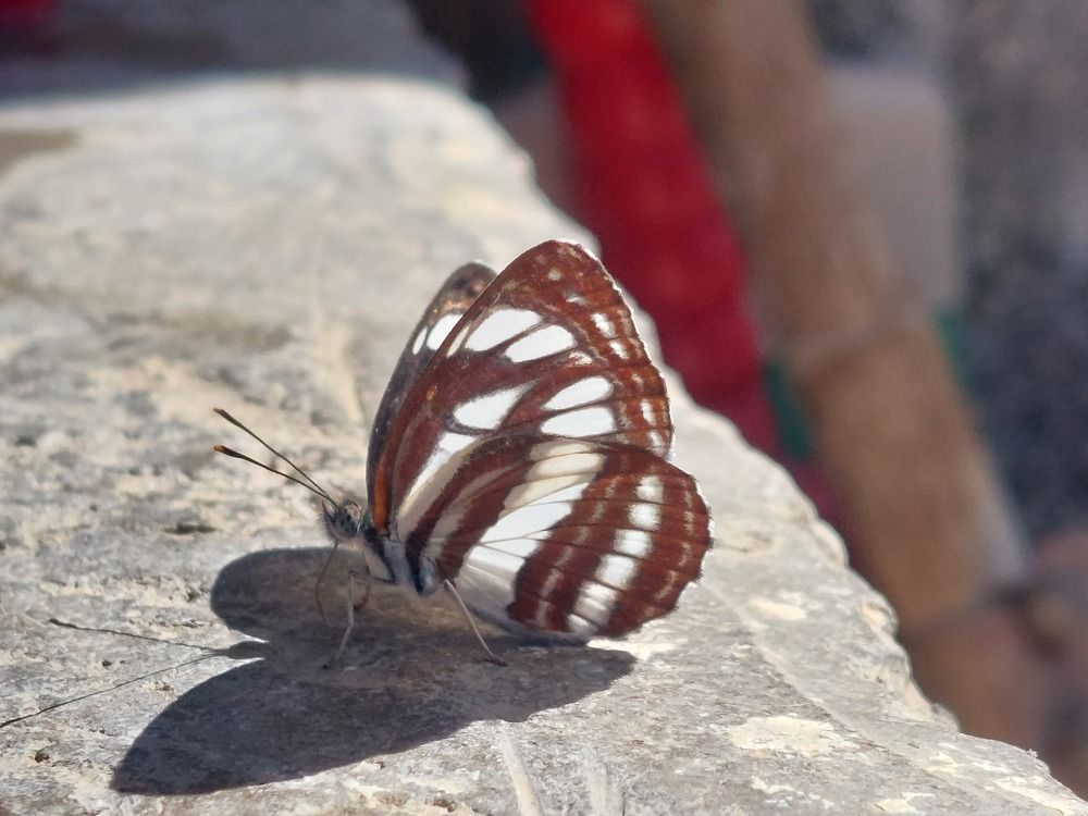 Photograph by iliya levkov