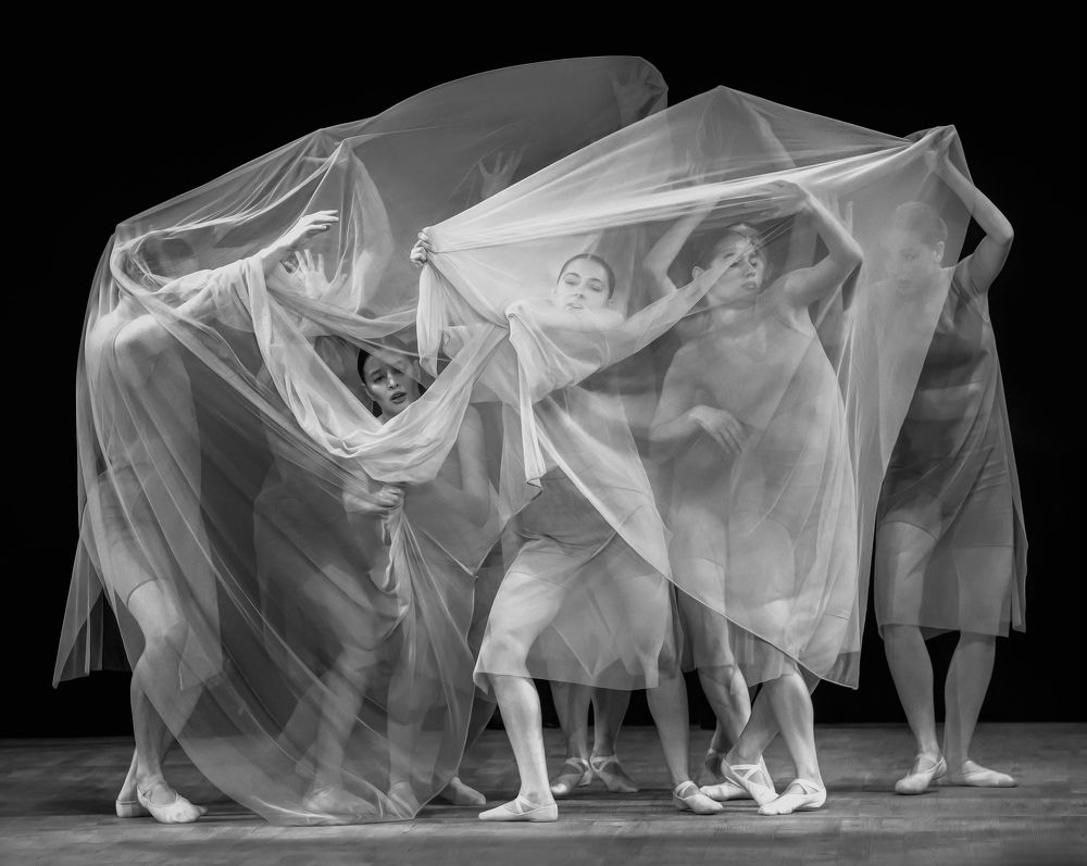 Photograph by Полина Бархатова