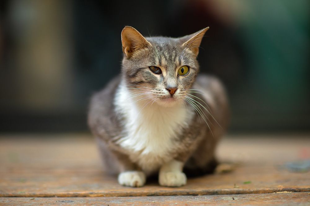 Photograph by Марина Фрейман