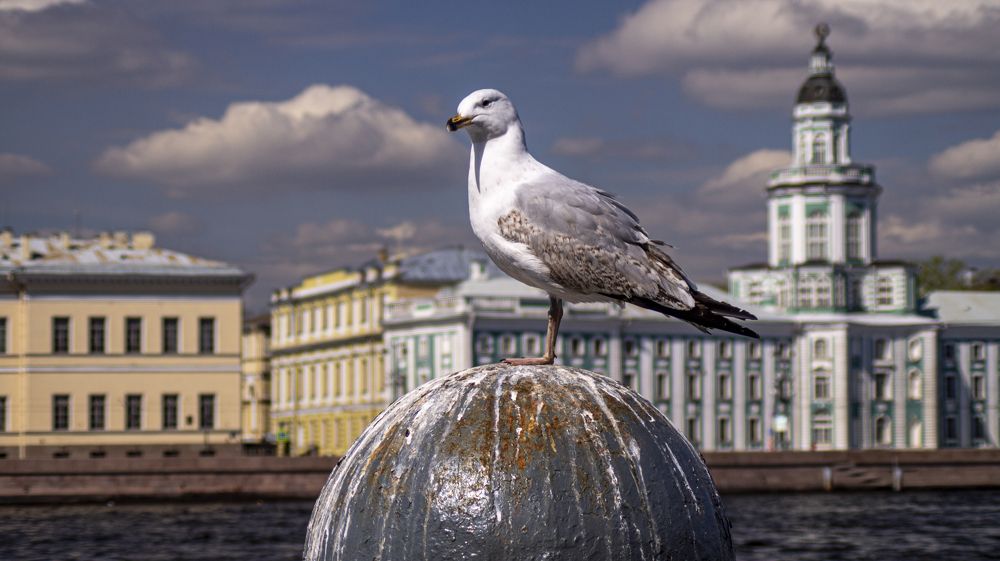 Photograph by Роман Чернышов