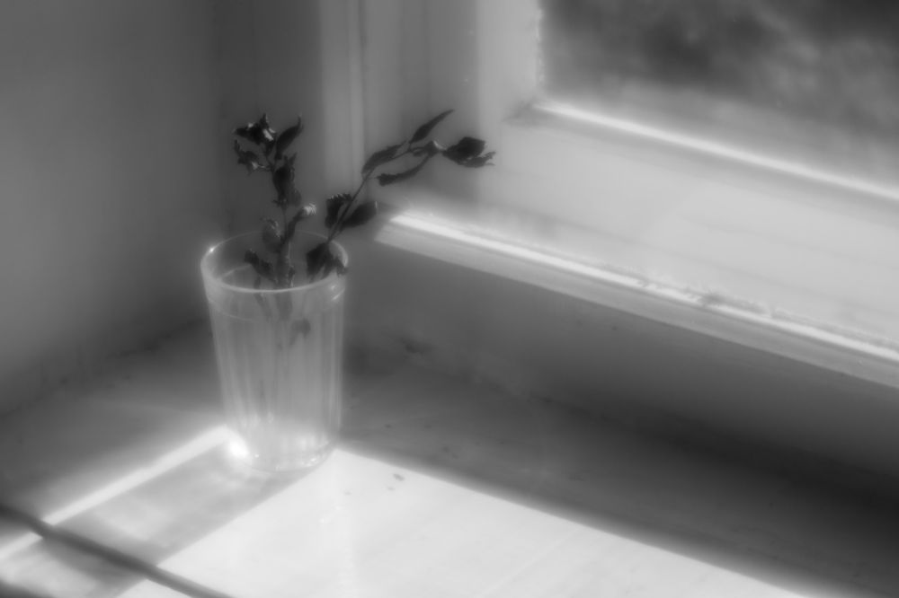 Photograph by 