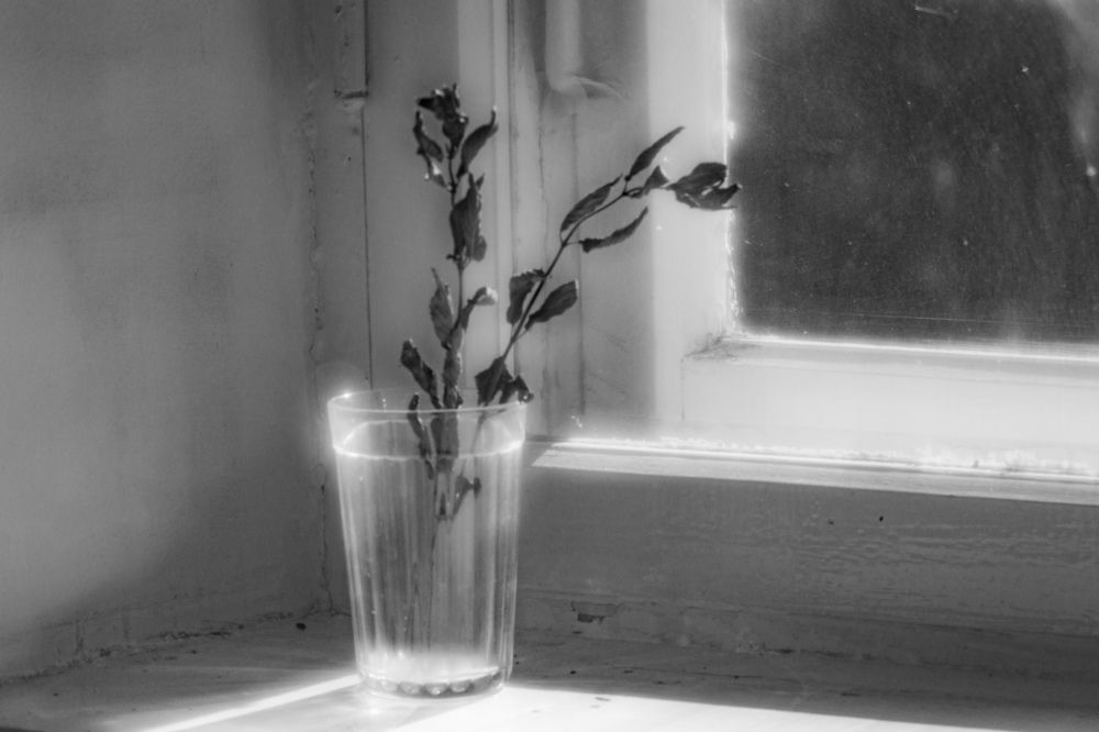 Photograph by 
