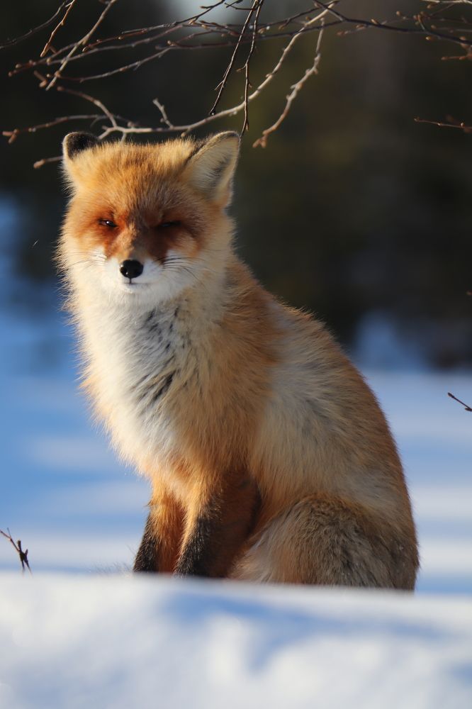 Photograph by Евгений Ничипорук