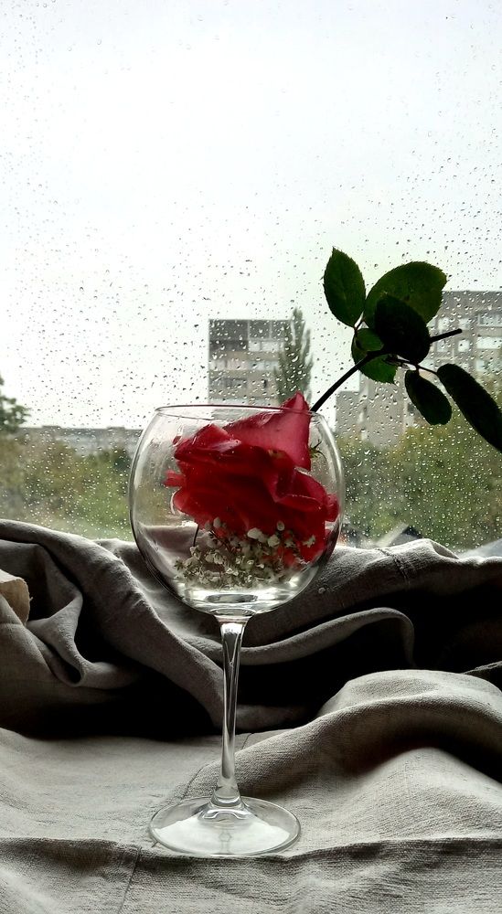 Фотография автора Марина Новикова