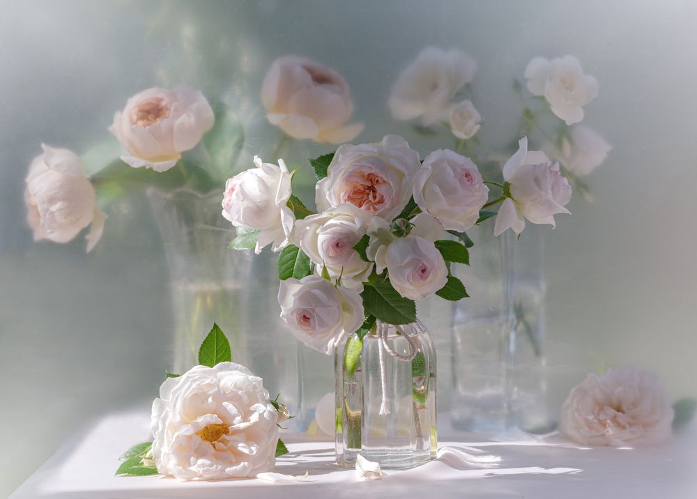 Photograph by NADEZHDA PELYMSKAIA