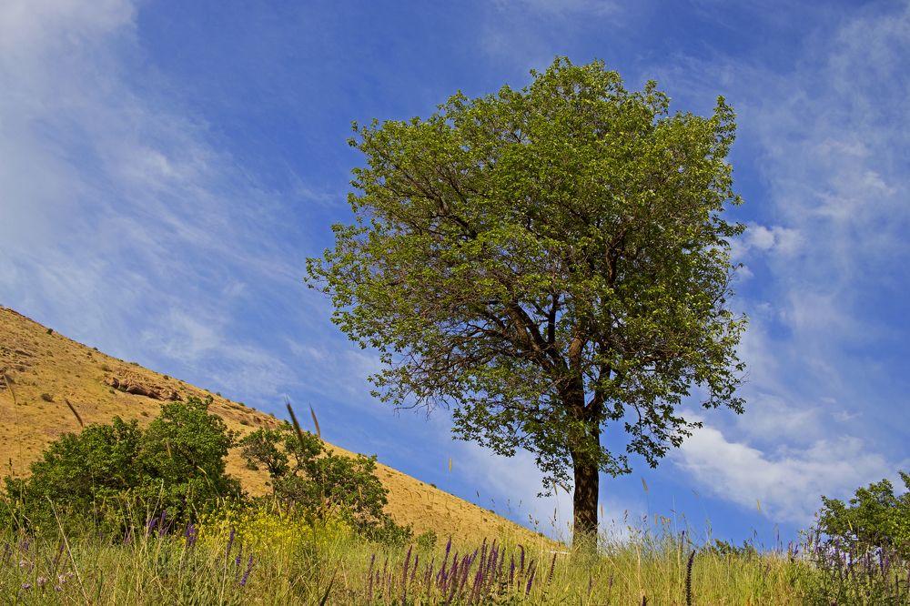 Photograph by Amirhossein Yousefi Keysari