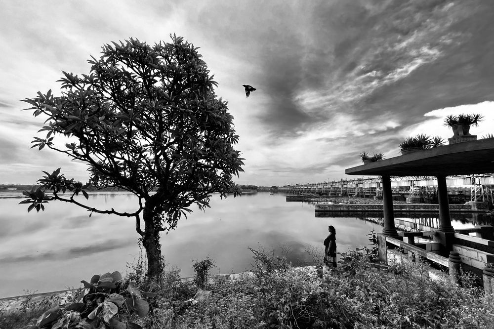 Фотография автора BIPLAB MISRA