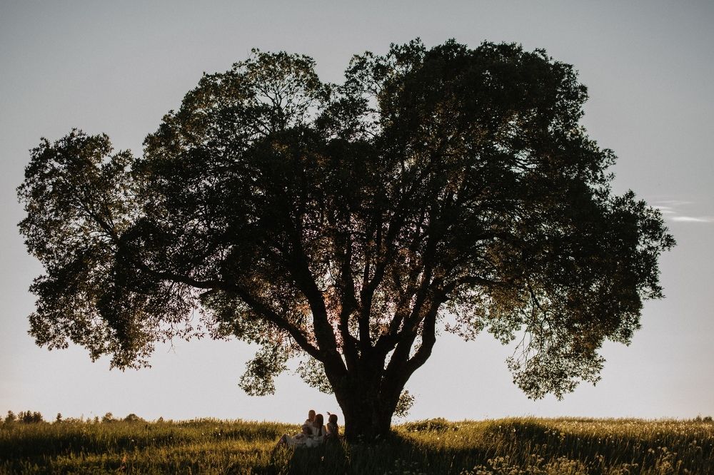 Photograph by Ирина Малышева