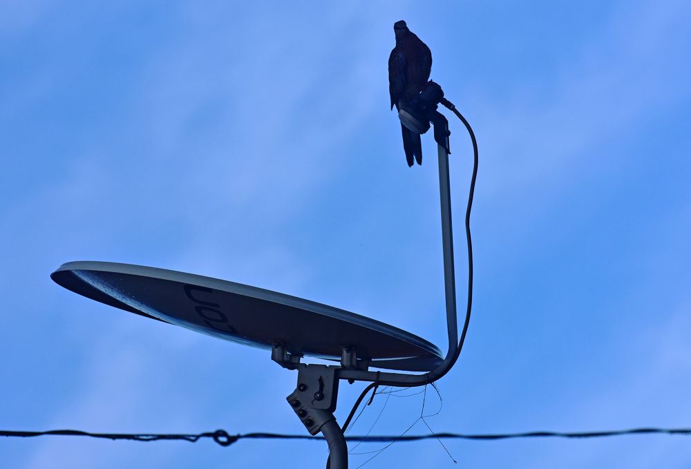 Photograph by CHINMOY BISWAS