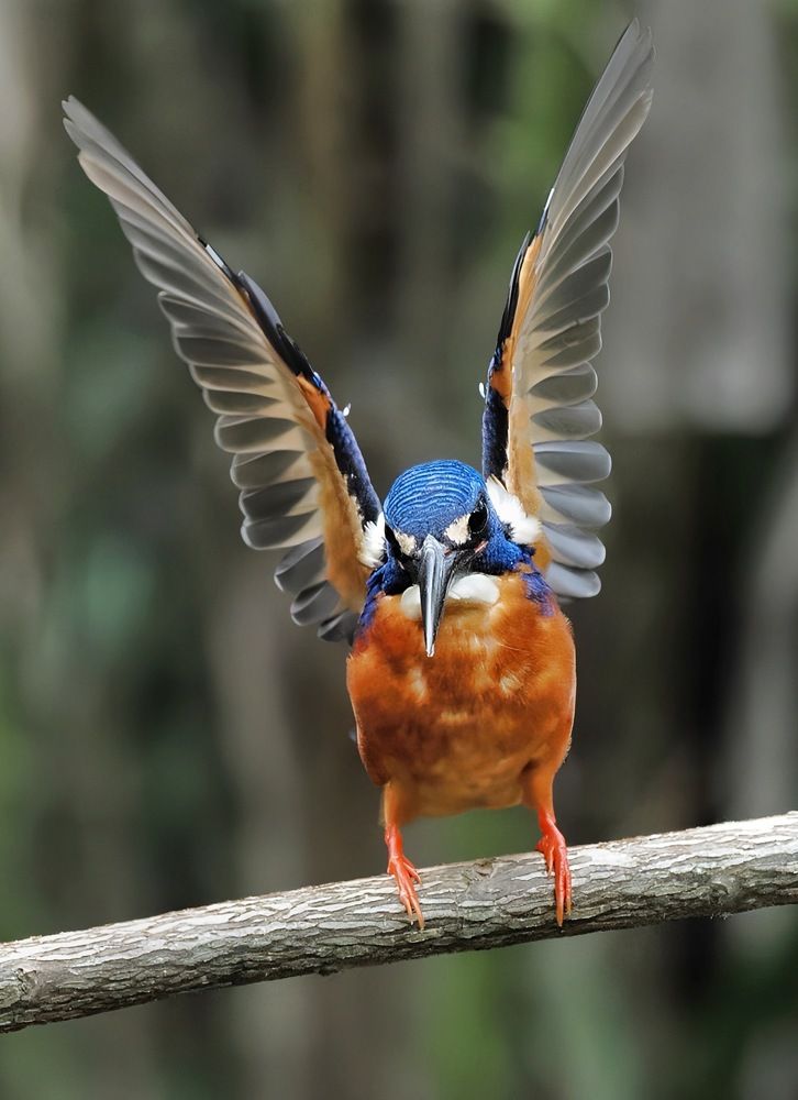 Photograph by Asa Satria Said