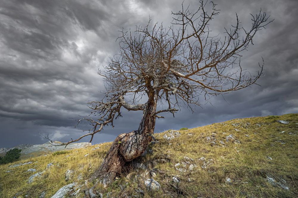 Photograph by Алексей Мякота