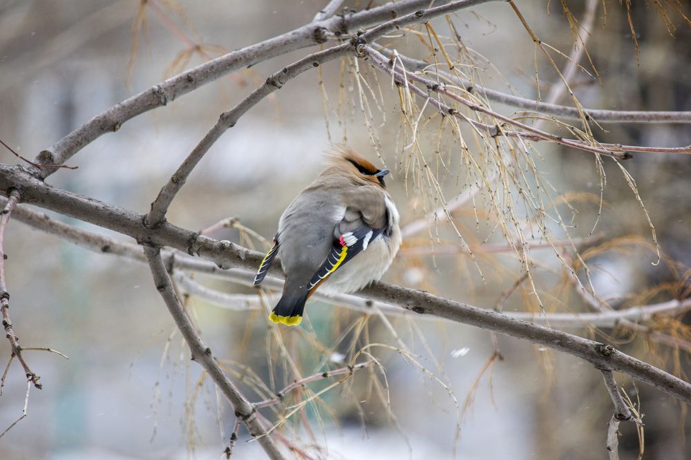 Photograph by Иван Долгов