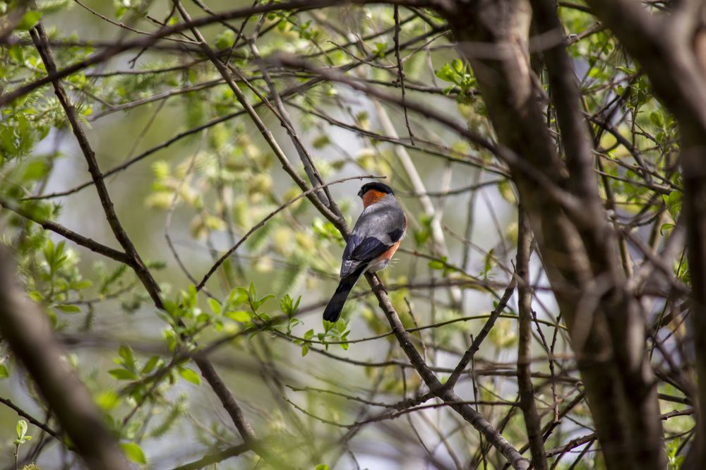 Photograph by Иван Долгов