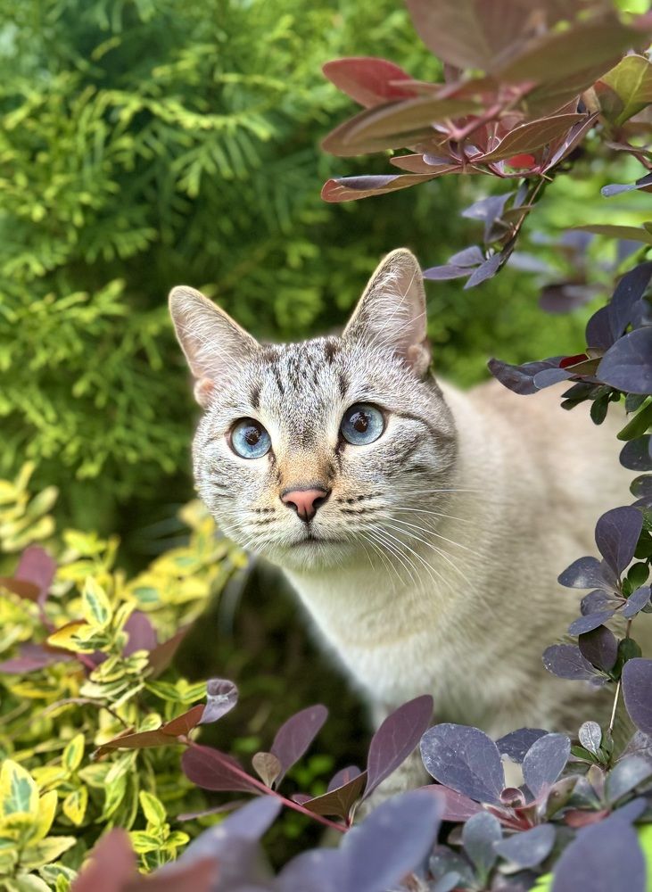 Photograph by Елена Карпухно