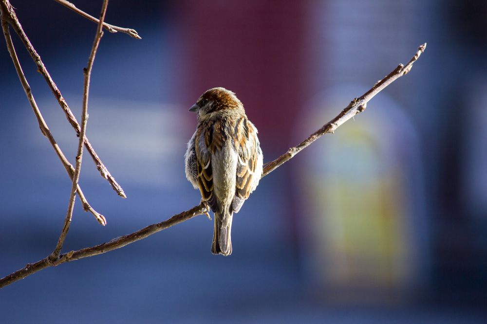 Photograph by Иван Долгов