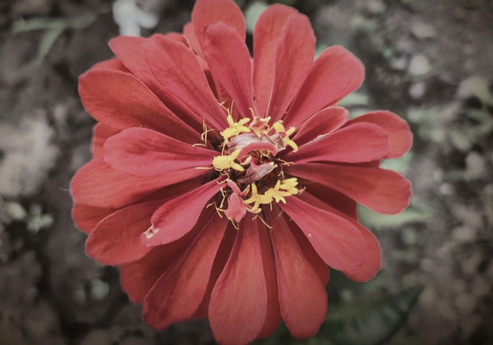 Photograph by Вячеслав Геннадьевич Усков