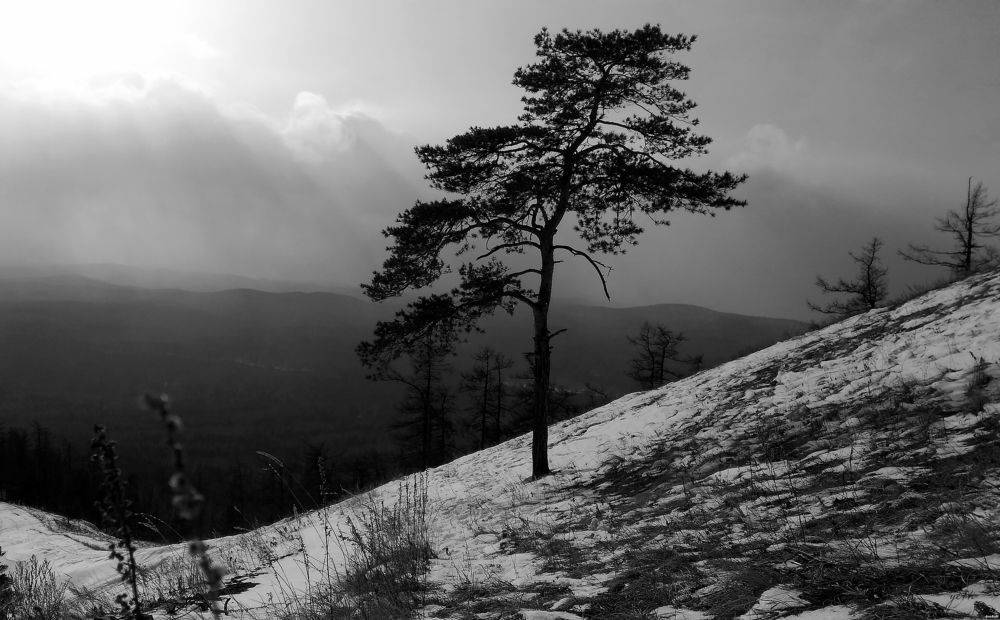 Фотография автора Роман Чернышов