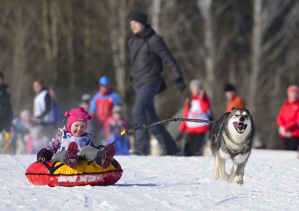 Фотография автора Сергей Чесноков