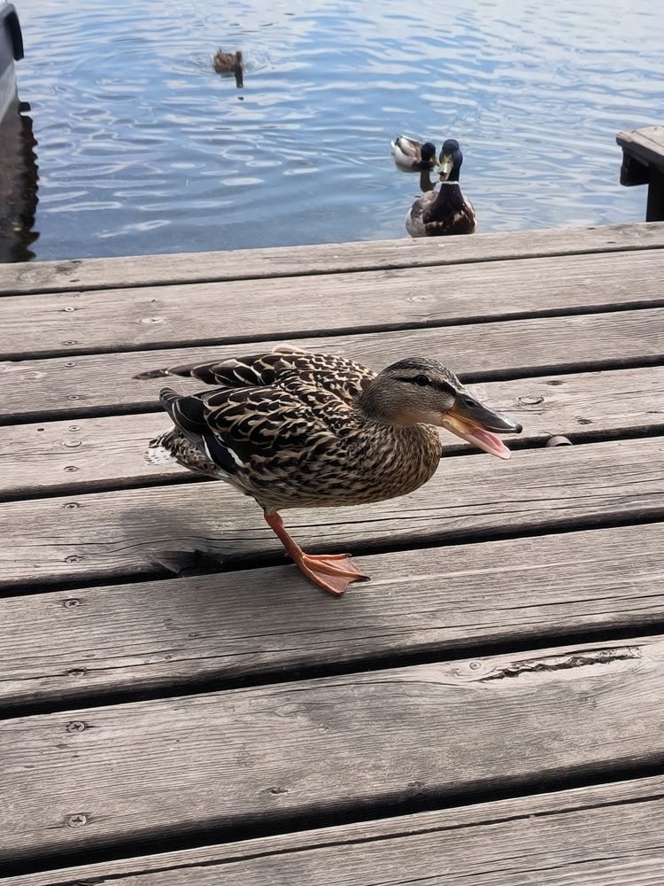 Photograph by Данил Фадеев