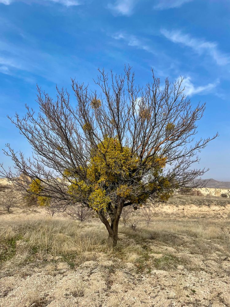 Photograph by Екатерина Мирошникова