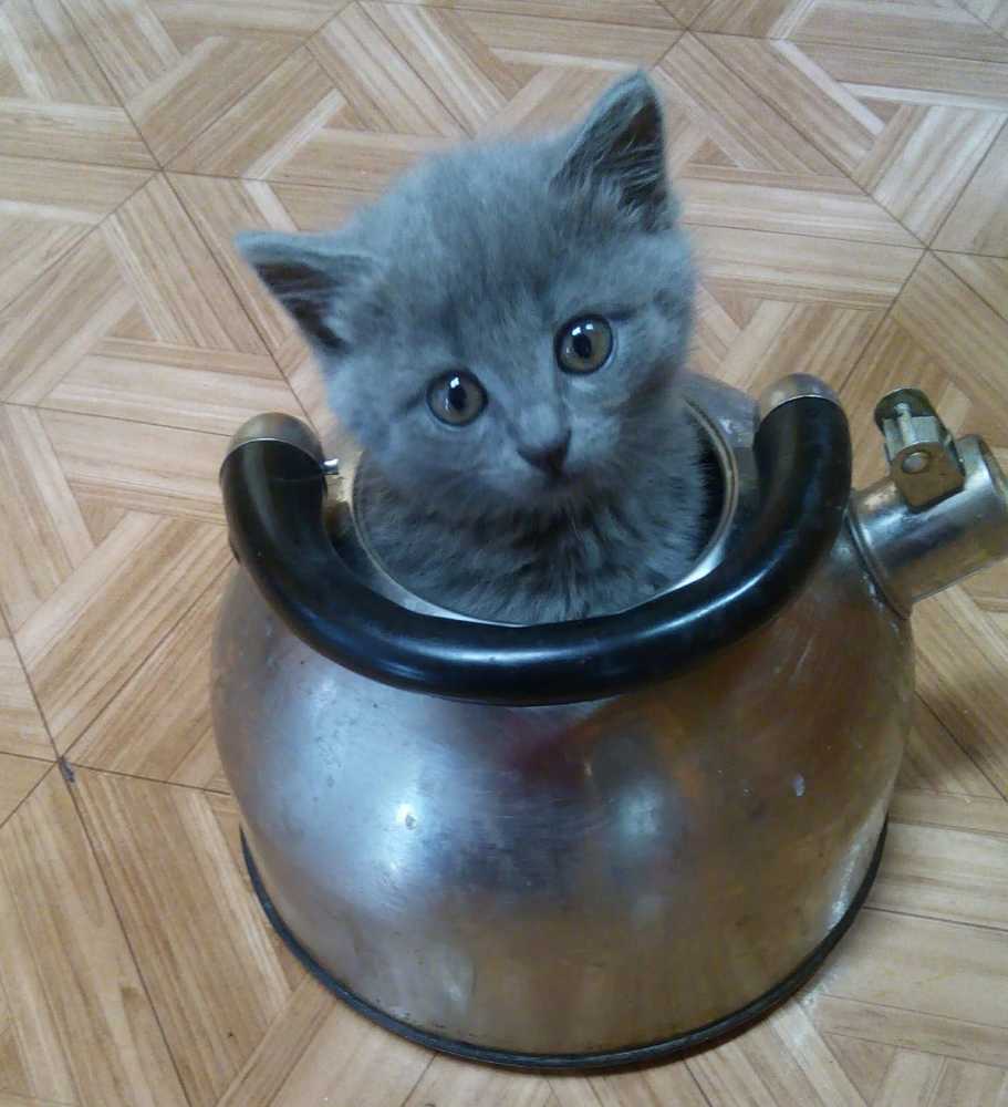 Photograph by Зульфия