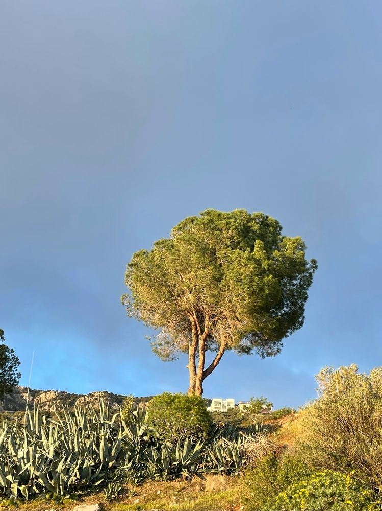 Photograph by Екатерина Мирошникова