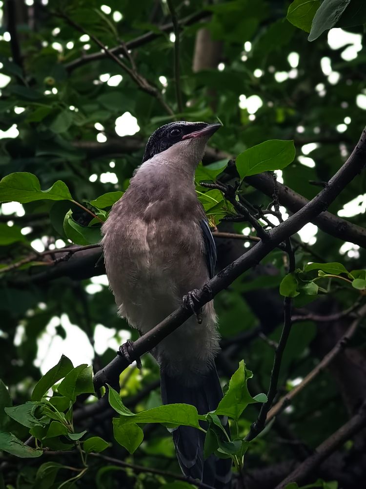 Photograph by Кирилл Васильев