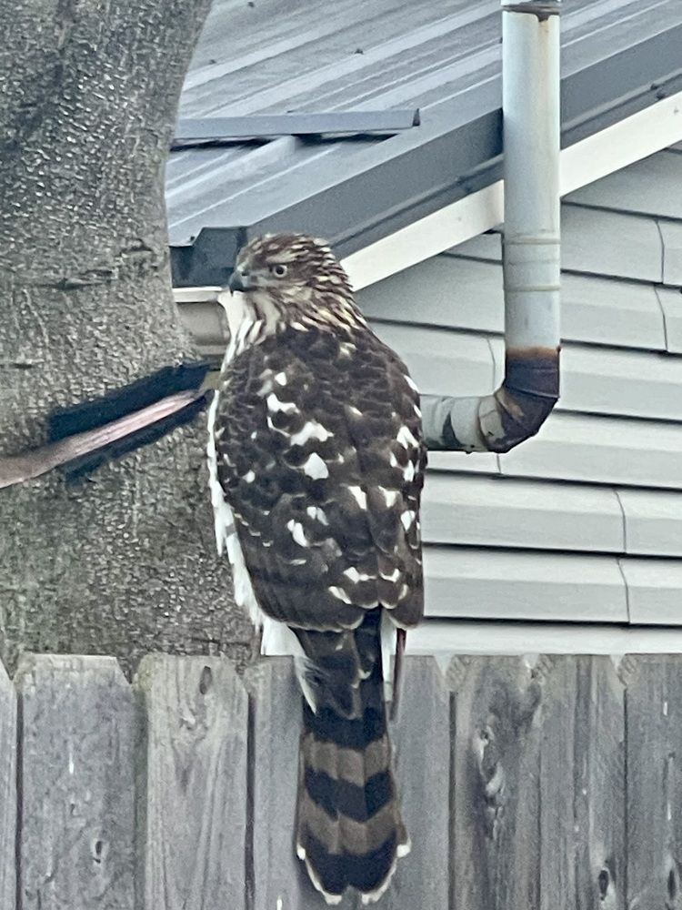 Photograph by Tyler Dewees