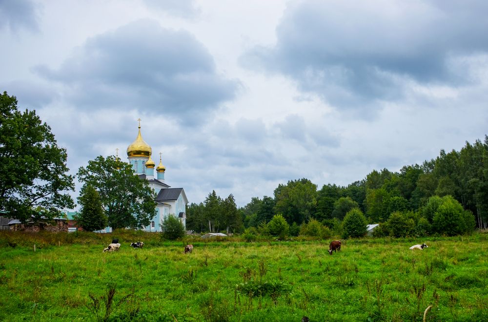 Photograph by Николай Соколовский