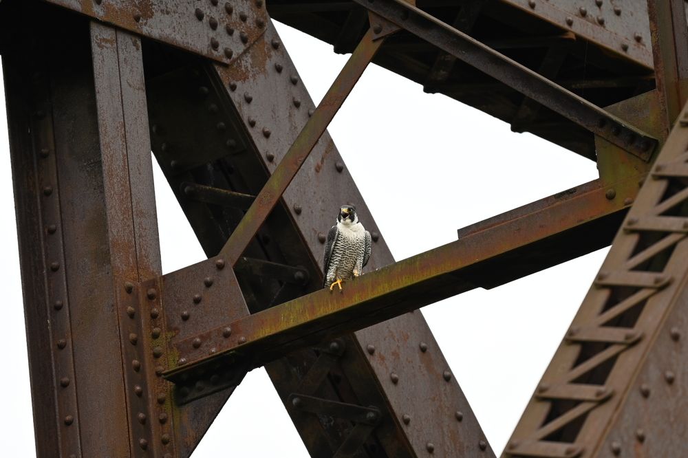 Photograph by Tyler Dewees