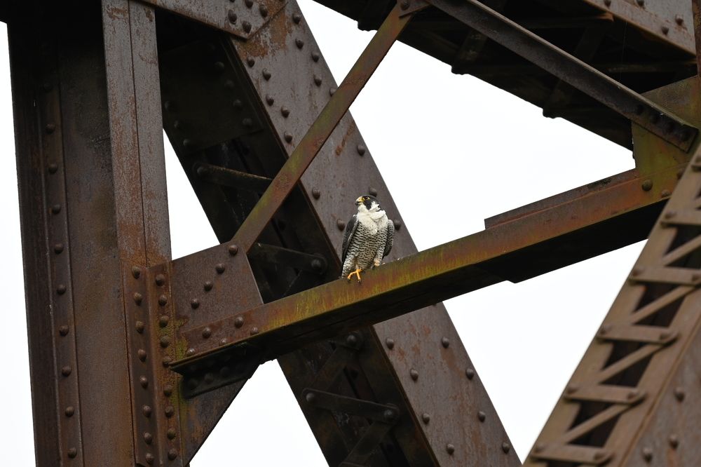 Photograph by Tyler Dewees