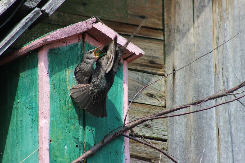 Photograph by Зульфия