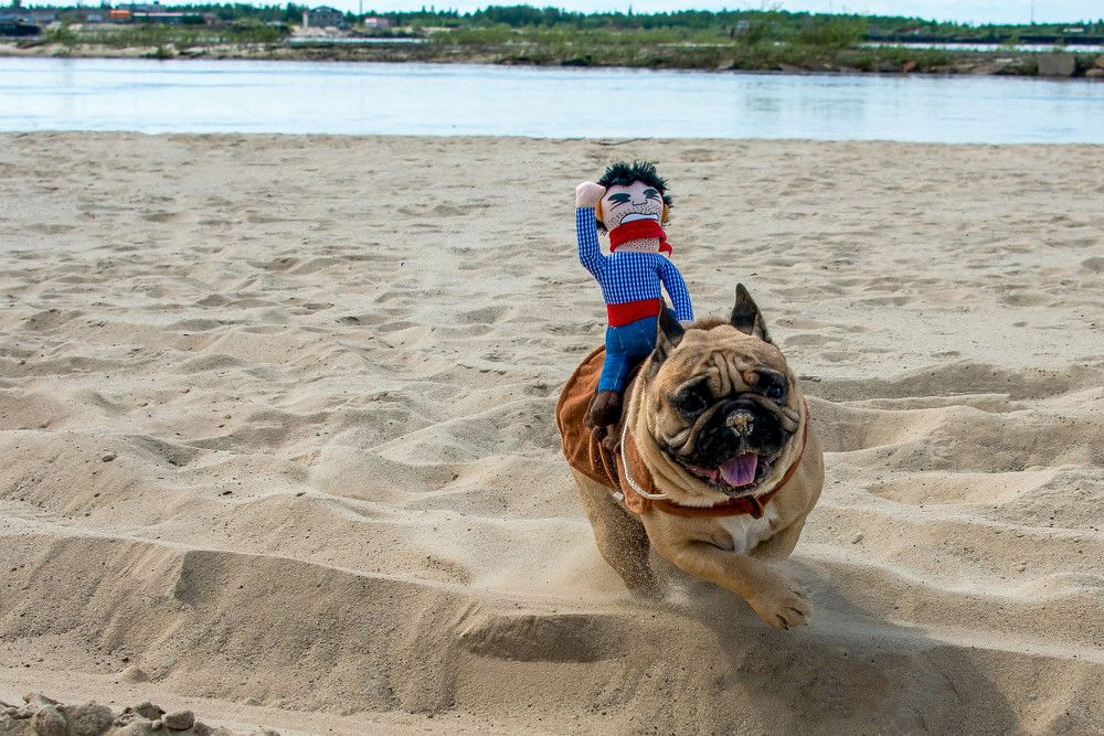 Photograph by Кадырова Марина