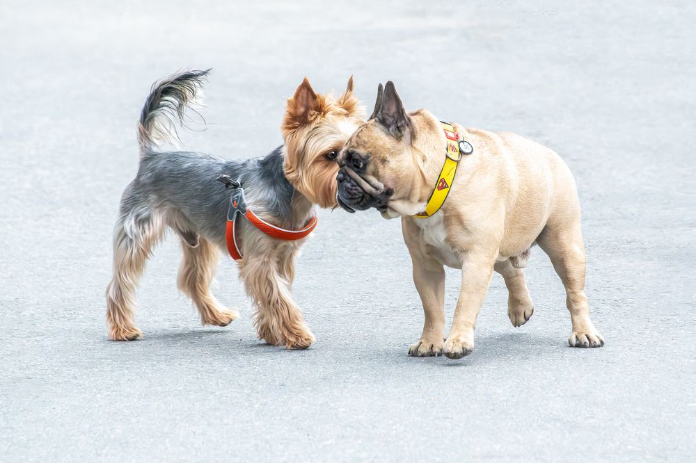 Photograph by Кадырова Марина