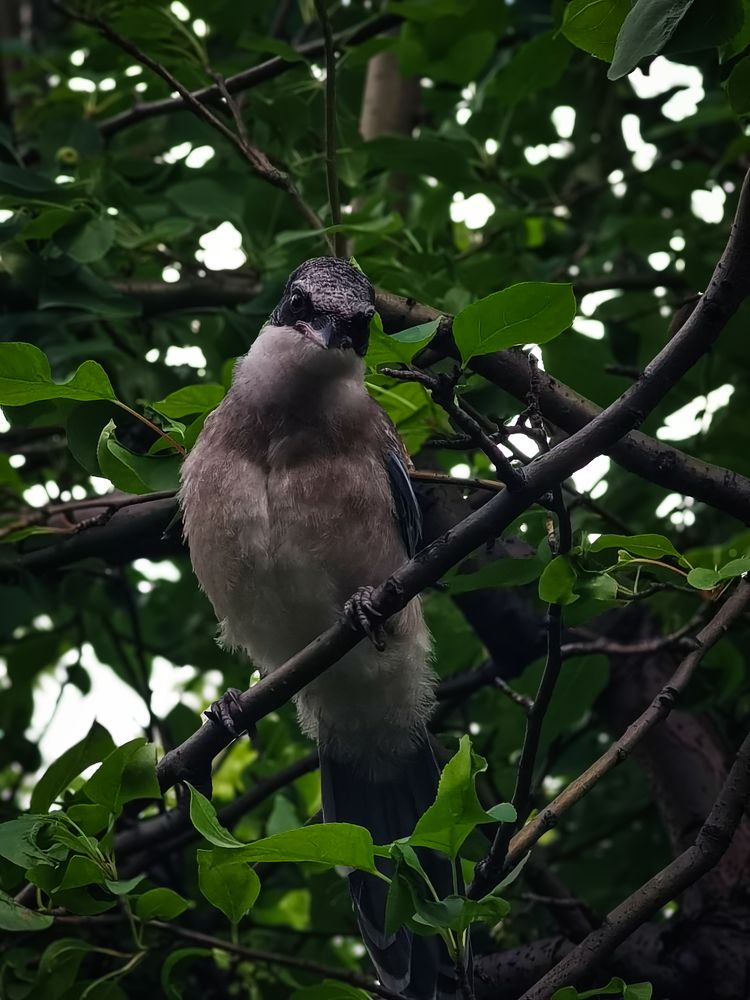 Photograph by Кирилл Васильев