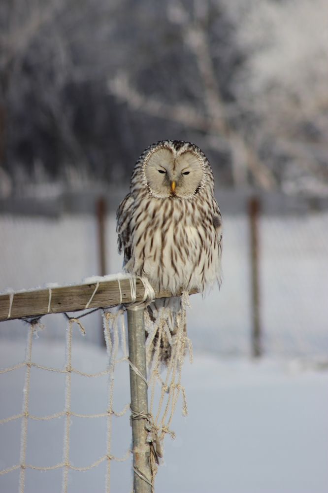 Photograph by Зульфия