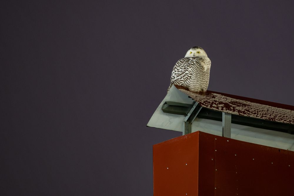 Photograph by Кадырова Марина