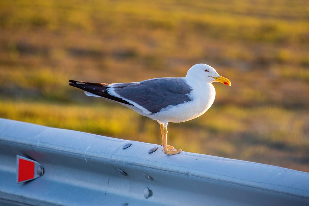 Photograph by Кадырова Марина