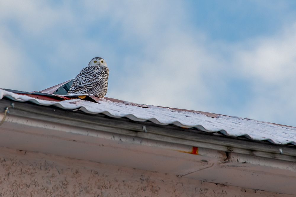 Photograph by Кадырова Марина