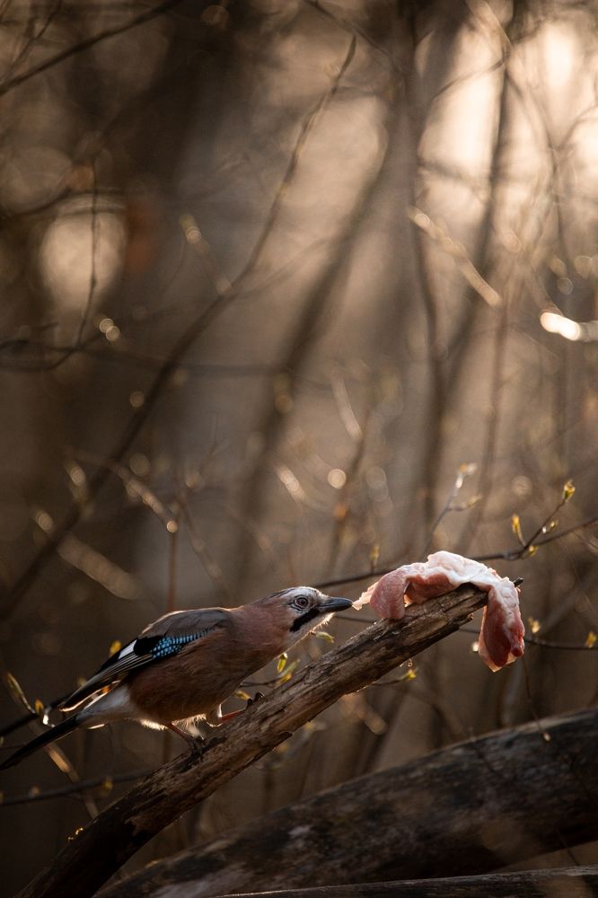 Photograph by Александр Белов