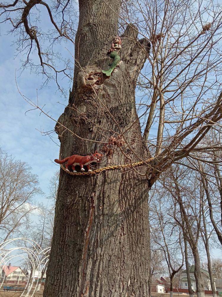 Photograph by Вячеслав Чирин