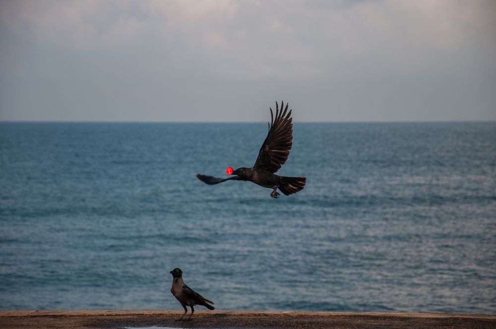 Photograph by Chamara Sulakkhana Polwatta Siriyalage