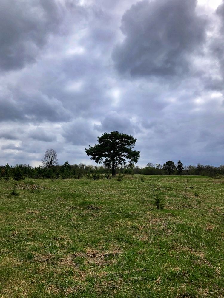 Photograph by Ирина Селиверстова