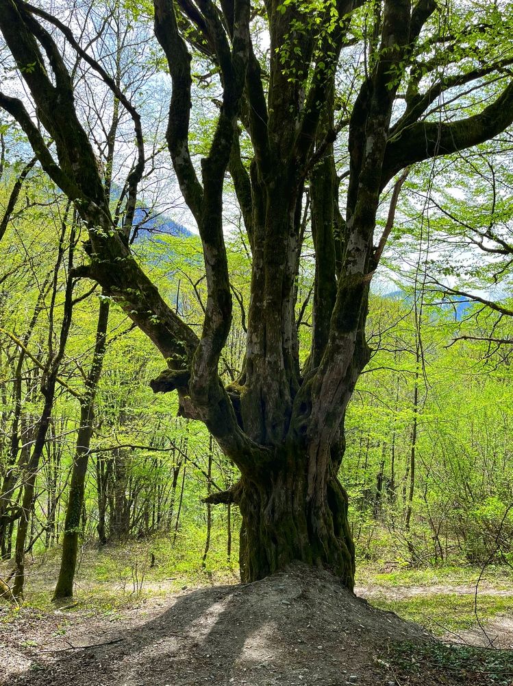 Photograph by Ирина Селиверстова